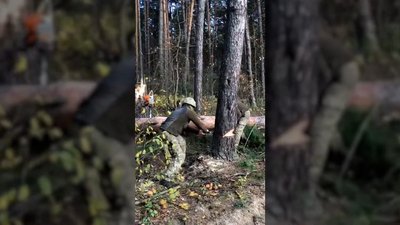 Прикордонник Луганського загону представить Україну на міжнародних змаганнях лісорубів в Естонії Прикордонник Луганського загону представить Україну на міжнародних змаганнях лісорубів в Естонії