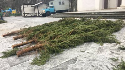 У Вінниці монтують каркас ялинки У Вінниці монтують каркас ялинки