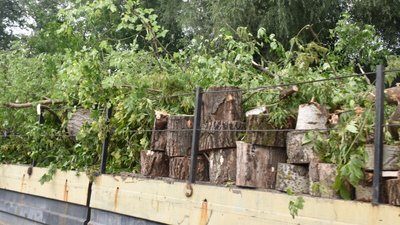 У Луцьку розчищають річку Стир від повалених дерев У Луцьку розчищають річку Стир від повалених дерев