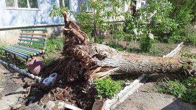 Повалені дерева та зруйновані дахи. Наслідки негоди на Херсонщині