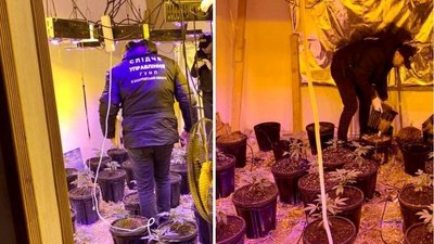 У закарпатця виявили міні-лабораторію для виготовлення наркотиків У закарпатця виявили міні-лабораторію для виготовлення наркотиків