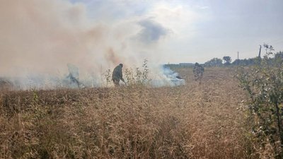 Пожежа, Івано-Франківщина, сухостій