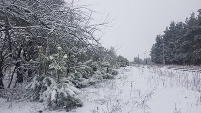 Негода на Рівненщині: як вплинув снігопад на дороги Негода на Рівненщині: як вплинув снігопад на дороги