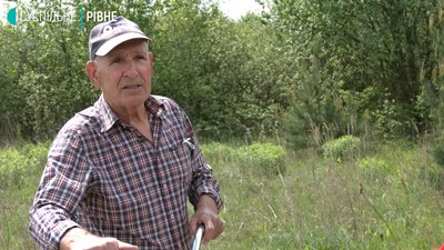 Жителі дачного масиву на Рівненщині нарікають на сміття поблизу території Жителі дачного масиву на Рівненщині нарікають на сміття поблизу території