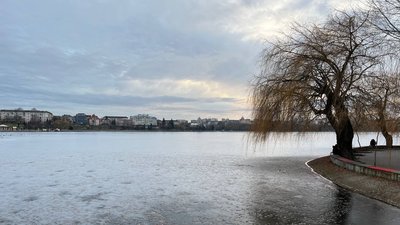 Тернопільський став у середині грудня Тернопільський став у середині грудня