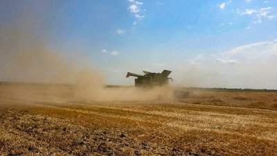 На Кіровоградщині через зливу частково призупинили жнива