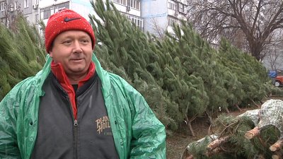 У Запоріжжі працюють 114 ялинкових майданчики У Запоріжжі працюють 114 ялинкових майданчики