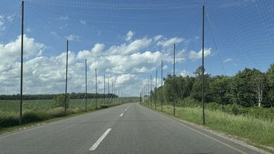 Антидронові сітки