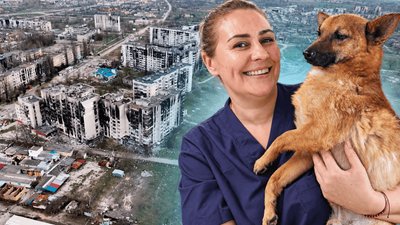 Пес Флай, якого евакуювали з Олешок