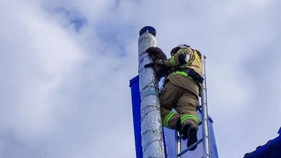 Порятунок кошеняти в селі Мушкатівка Борщівської громади Порятунок кошеняти в селі Мушкатівка Борщівської громади