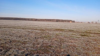 З початку 2024 року вибухотехніки обстежили близько 10 гектарів земель сільгосппризначення на Сумщині З початку 2024 року вибухотехніки обстежили близько 10 гектарів земель сільгосппризначення на Сумщині