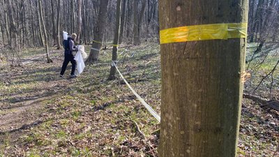 50 мішків сміття зібрали під час прибирання лісу у Тернополі 50 мішків сміття зібрали під час прибирання лісу у Тернополі