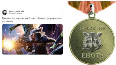 єнот мем херсон єнот мем херсон