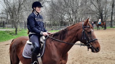 Спілкування з конями. У Миколаєві проводять заняття з іповенції