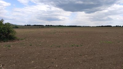 На Хмельниччині невідомі засіяли кукурудзою територію національного парку