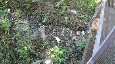 "Запоріжці відчують на собі погіршення якості повітря і води", - експертка про стан Сухої Московки "Запоріжці відчують на собі погіршення якості повітря і води", - експертка про стан Сухої Московки