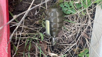 Став учасником ДТП: поліцейські на Житомирщині знайшли гранату у водія Став учасником ДТП: поліцейські на Житомирщині знайшли гранату у водія