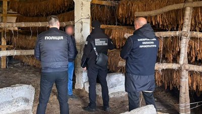 На Закарпатті судитимуть депутата та ще трьох людей через незаконний обіг тютюну