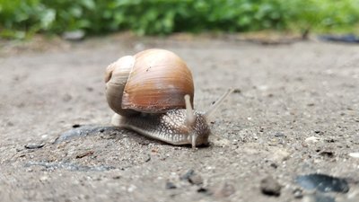Равлик, погода на 2 червня на Рівненщині