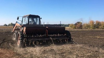 Планують завершити до кінця жовтня: на Черкащині зерновими засіяли 69% запланованих площ