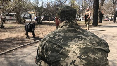 Шукає зброю та допомагає у затриманні. В Одесі на блокпостах разом з військовими несе службу пес Кай Шукає зброю та допомагає у затриманні. В Одесі на блокпостах разом з військовими несе службу пес Кай
