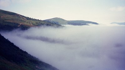 Як пройшов волонтерський фестиваль "Бакотики" в Карпатах: репортаж Як пройшов волонтерський фестиваль "Бакотики" в Карпатах: репортаж