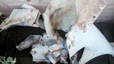 Природа, зброя і дизайн: у Рівному в краєзнавчому музеї відкрили частину експозицій