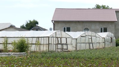 Священник з Івано-Франківщини вирощує розсаду та овочі Священник з Івано-Франківщини вирощує розсаду та овочі