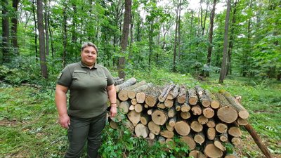 На Кіровоградщині заготовляють дрова на зиму. Які ціни та попит На Кіровоградщині заготовляють дрова на зиму. Які ціни та попит