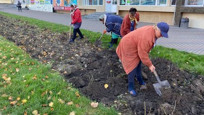 12 тисяч тюльпанів та мускарів: на вінницьких клумбах висаджують квіти 12 тисяч тюльпанів та мускарів: на вінницьких клумбах висаджують квіти