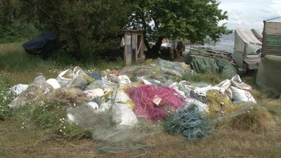 сітки сітки