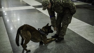 Моральна підтримка під час війни. Собаки-психологи працюють на київському вокзалі. Фоторепортаж