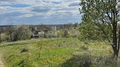 відпочинок, природа, правила, екоінспенкція, екологія