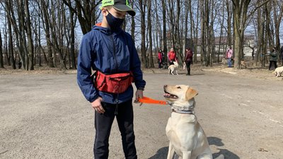 Щосуботи на Закарпатті проводять безкоштовні заняття для собак Щосуботи на Закарпатті проводять безкоштовні заняття для собак