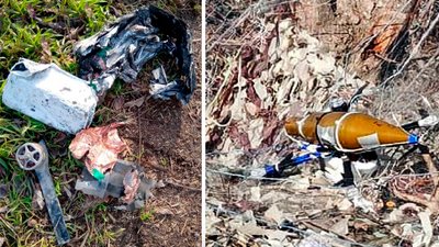 Сім російських FPV-дронів за добу знешкодили прикордонники на Запорізькому напрямку