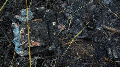 Ліс на Чернігівщині: регіон опинився на другому місці в Україні за площею лісових пожеж