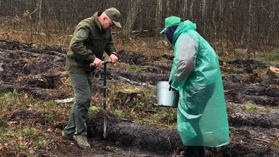 На Рівненщині місцеві лісівники та колеги-переселенці висадили саджанці сосни та дуба На Рівненщині місцеві лісівники та колеги-переселенці висадили саджанці сосни та дуба