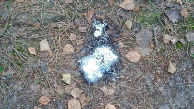 Фосфорні снаряди та загоряння в лісах — наслідки обстрілів військовими РФ Сумщини 25 серпня Фосфорні снаряди та загоряння в лісах — наслідки обстрілів військовими РФ Сумщини 25 серпня