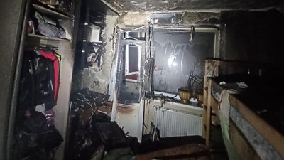 У Львові через пожежу у квартирі загинули домашні тварини