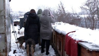 Депутати Рівнеради відвідали бездомних собак і вирішили оновити програму утримання тварин в місті