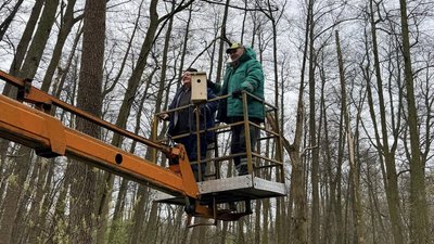 Шпаківня