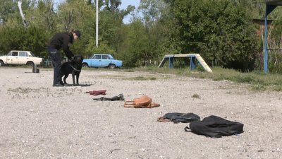 Запорізький пес-полійцейський допомагає виявляти боєприпаси Запорізький пес-полійцейський допомагає виявляти боєприпаси
