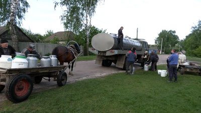 Кіньми та велосипедом: як жителі Новгород-Сіверщини доставляють молоко Кіньми та велосипедом: як жителі Новгород-Сіверщини доставляють молоко