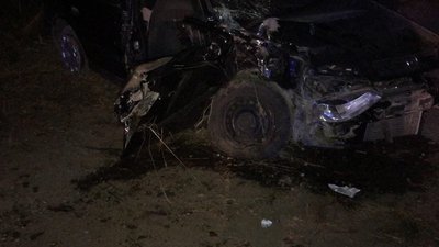 Автомобіль в'їхав у дерево. На Франківщині у Маріямполі сталася ДТП