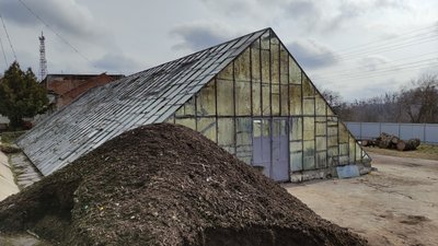У Полтаві планують весняну висадку квітів: скільки рослин буде на клумбах У Полтаві планують весняну висадку квітів: скільки рослин буде на клумбах