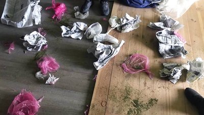 На Житомирщині поліцейські вилучили понад півкіло наркотиків з приватного будинку На Житомирщині поліцейські вилучили понад півкіло наркотиків з приватного будинку