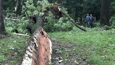 Франківськ після буревію: розчищають парки, лагодять дахи Франківськ після буревію: розчищають парки, лагодять дахи