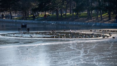 Парк Перемоги, замерзлий ставок, зима в Одесі