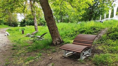 Дерев'яні лежаки у парку