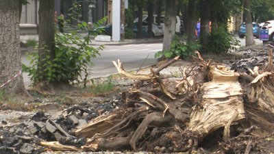 У Дніпрі, на вулиці Вернадського, демонтували покриття пішохідної частини У Дніпрі, на вулиці Вернадського, демонтували покриття пішохідної частини